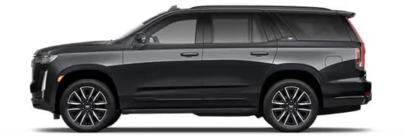 Executive SUV